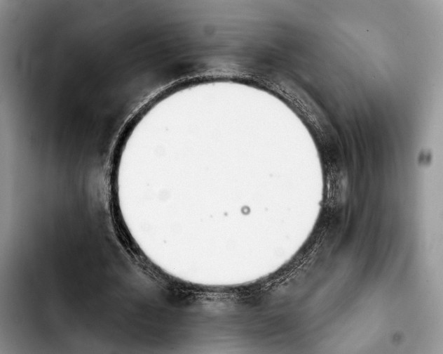 X0000103930436200810101357