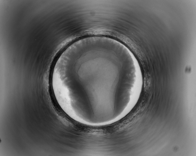 X0000103930438200810101357