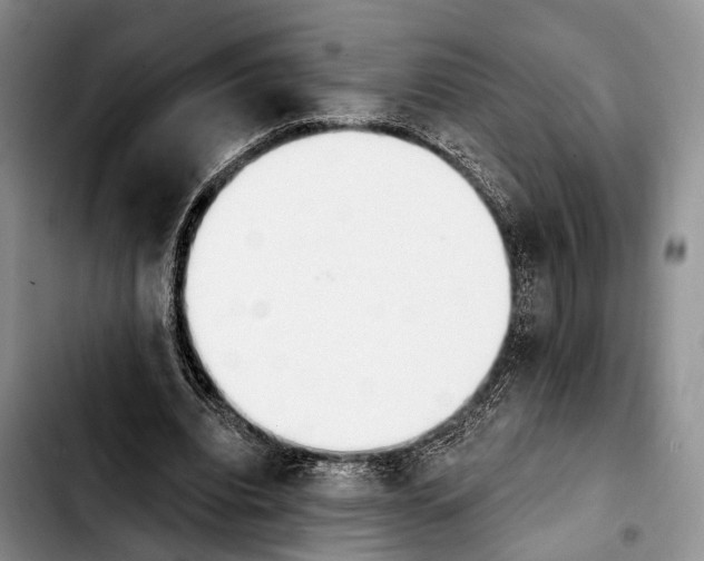 X0000103930440200810101357