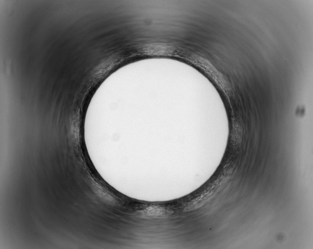 X0000103930441200810101357