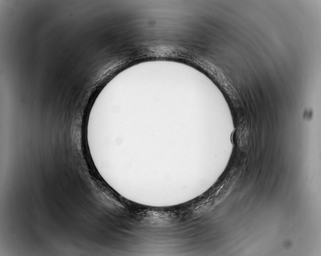 X0000103930442200810101357