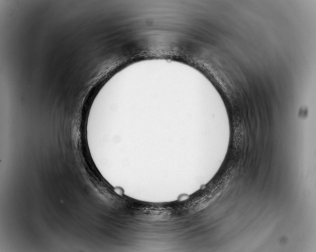 X0000103930443200810101357