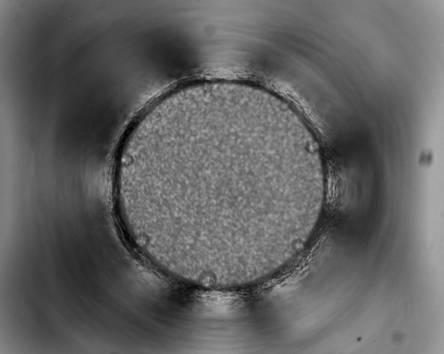 X0000103930444200810101357