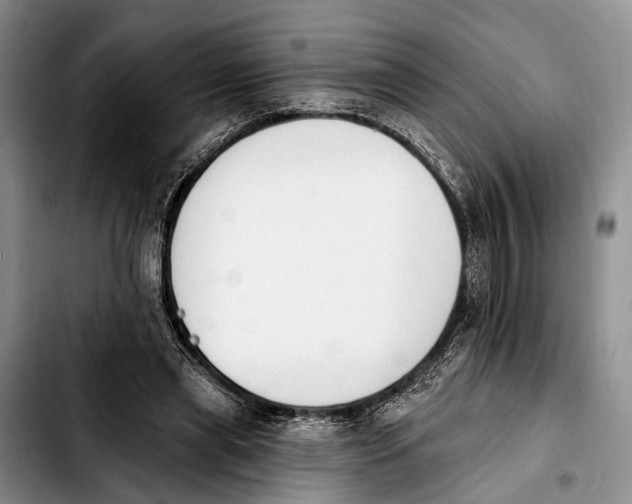 X0000103930445200810101357