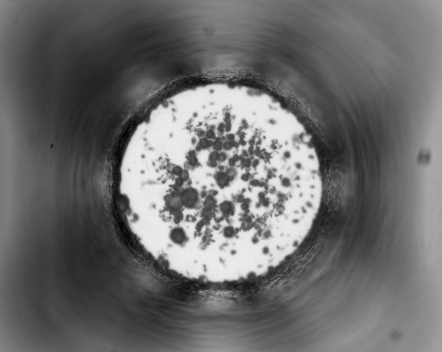 X0000103930448200810101357