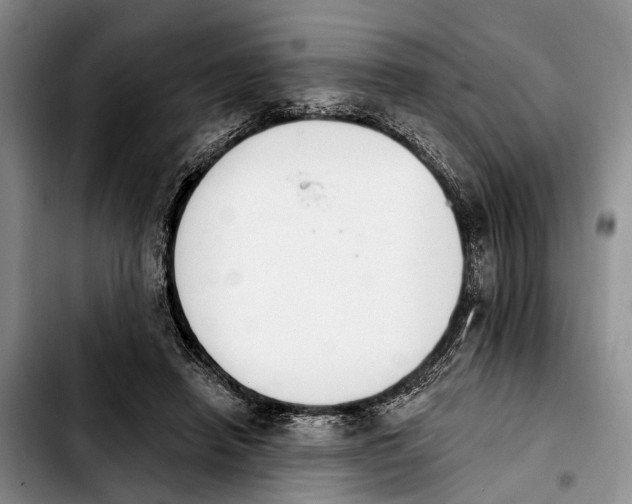 X0000103930450200810101357