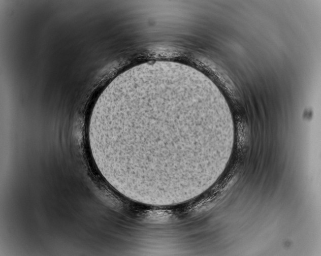 X0000103930451200810101357