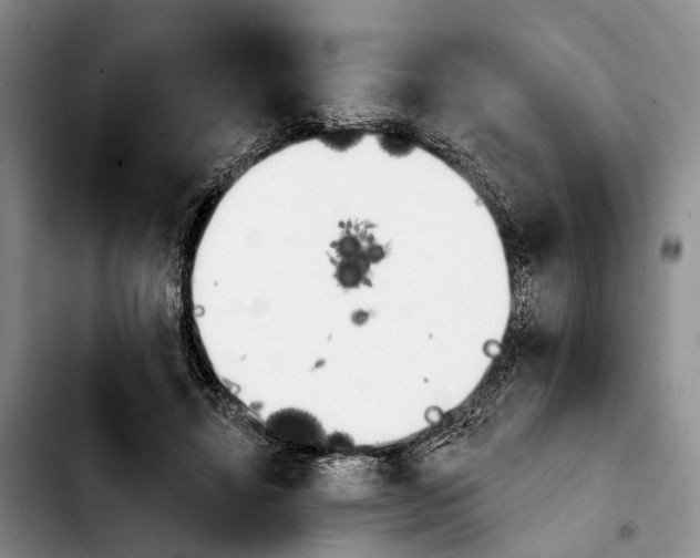 X0000103930452200810101357