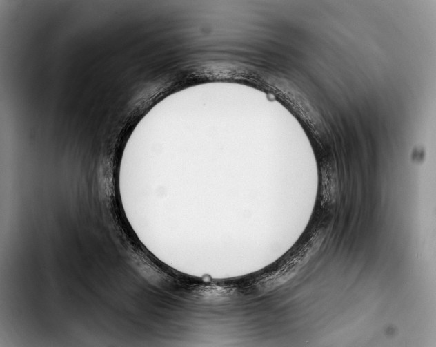 X0000103930453200810101357