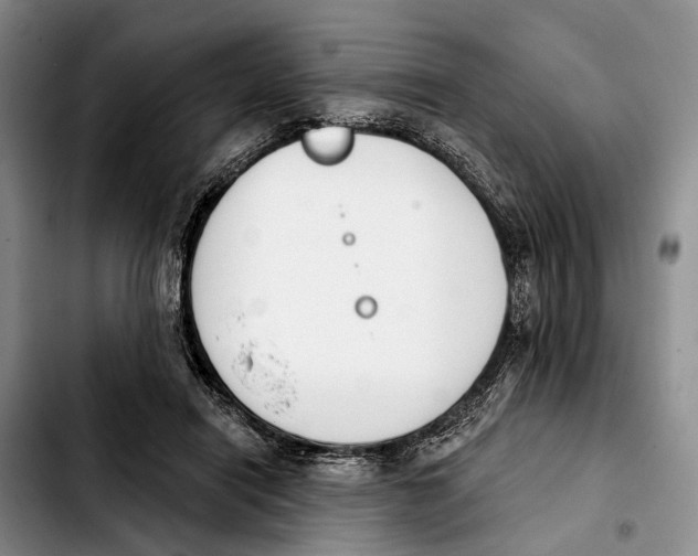 X0000103930454200810101357