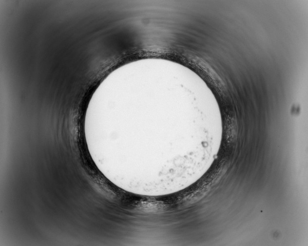 X0000103930455200810101357