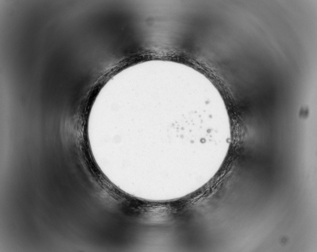 X0000103930456200810101357