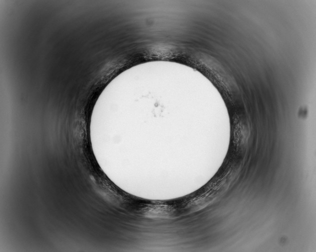 X0000103930459200810101357