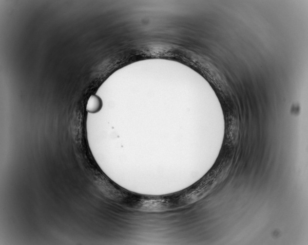 X0000103930461200810101357