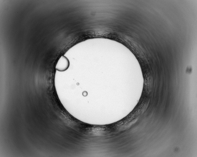 X0000103930462200810101357