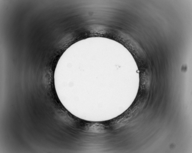 X0000103930463200810101357