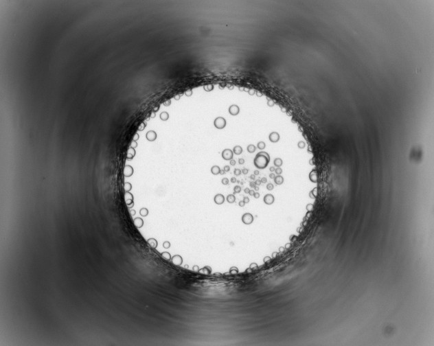 X0000103930464200810101357