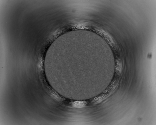 X0000103930465200810101357