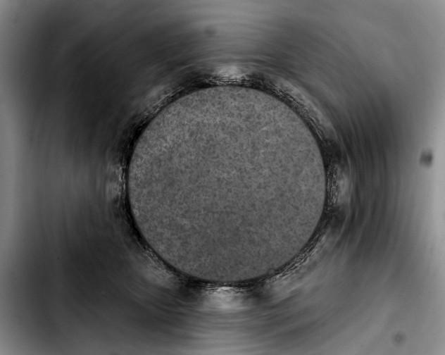 X0000103930467200810101357