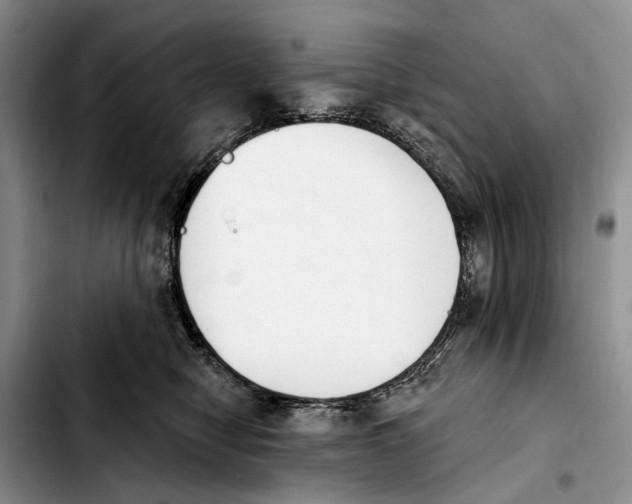 X0000103930470200810101357