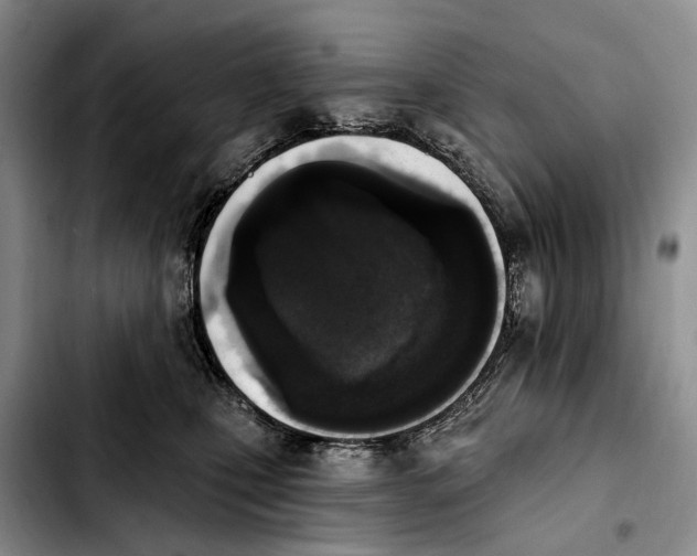 X0000103930471200810101357