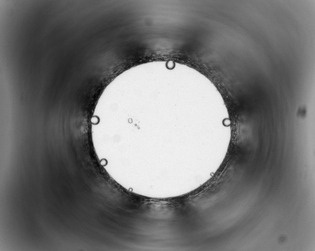 X0000103930472200810101357