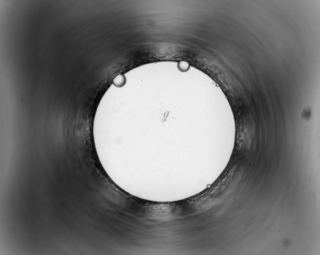 X0000103930473200810101357