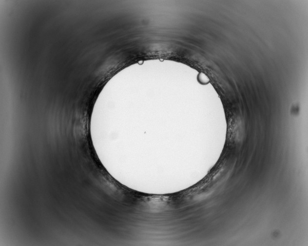 X0000103930474200810101357