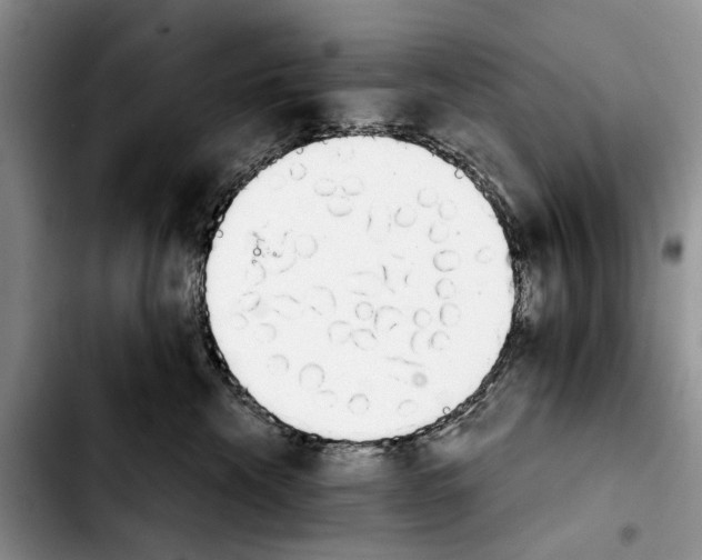 X0000103930476200810101357