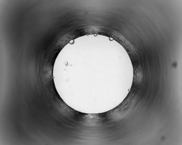 X0000103930477200810101357