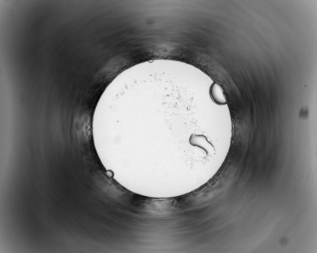 X0000103930479200810101357