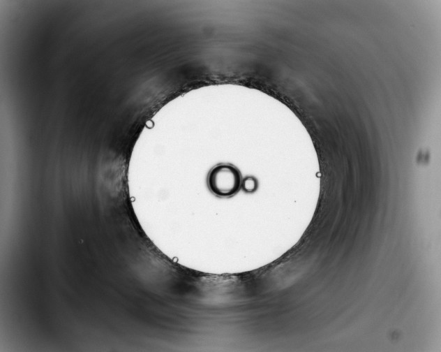 X0000103930480200810101357