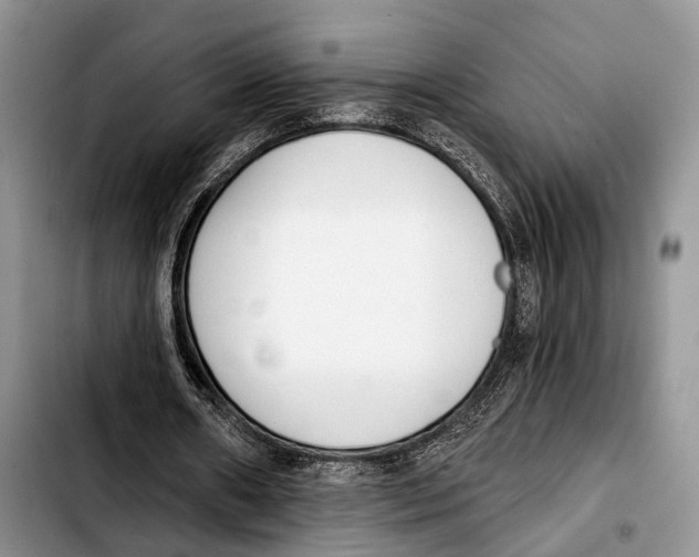 X0000103930482200810101356