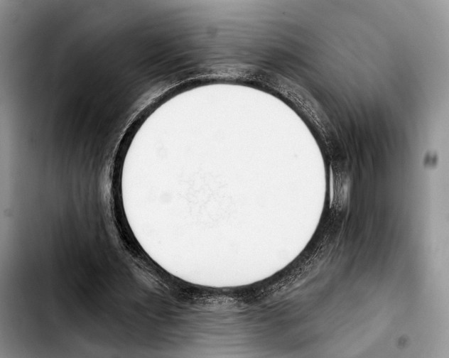 X0000103930483200810101356