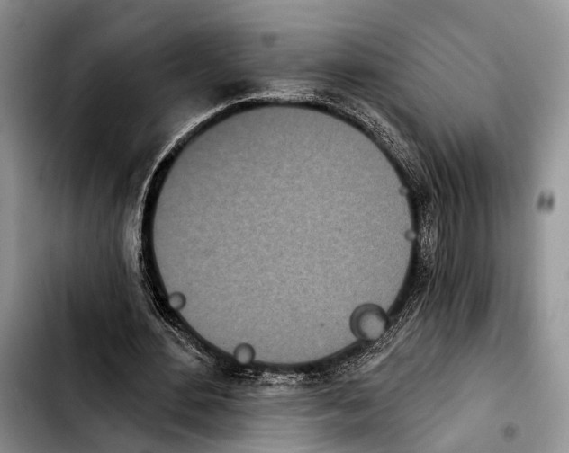 X0000103930484200810101356