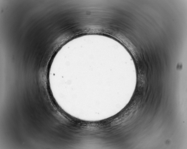 X0000103930485200810101356