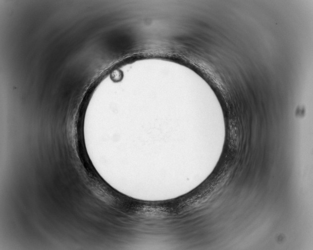 X0000103930487200810101356