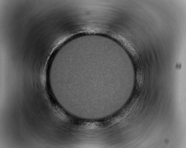 X0000103930488200810101356