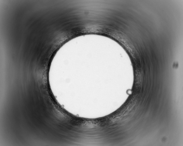 X0000103930489200810101356