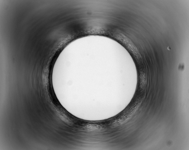 X0000103930490200810101356