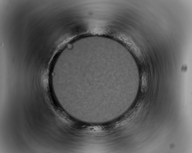 X0000103930492200810101356