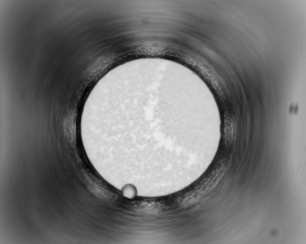 X0000103930493200810101356