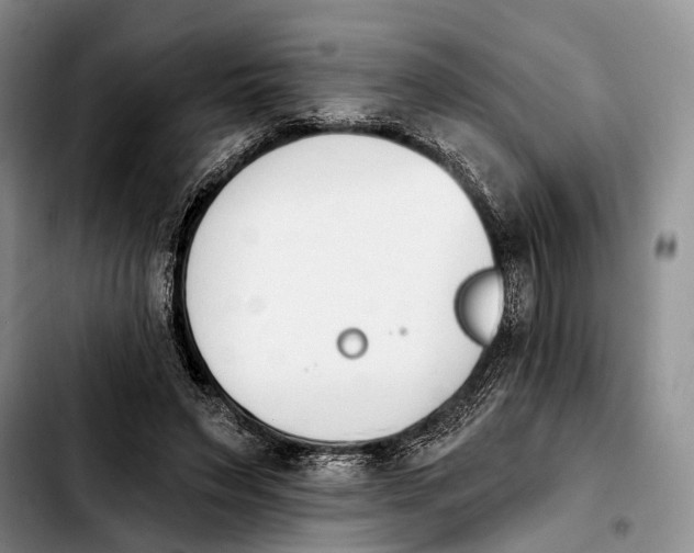 X0000103930495200810101356