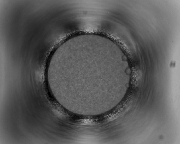 X0000103930496200810101356