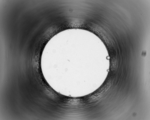 X0000103930497200810101356