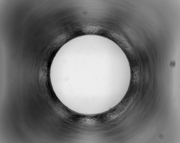 X0000103930498200810101356