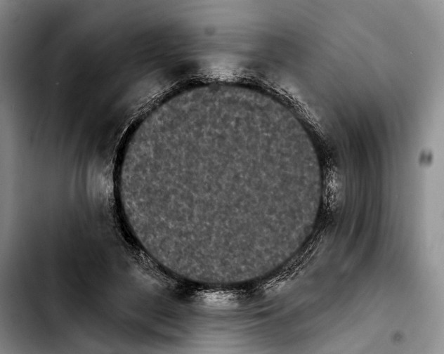 X0000103930500200810101356