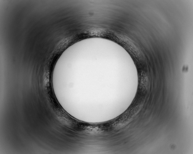 X0000103930502200810101356