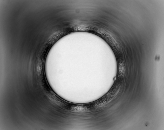 X0000103930503200810101356