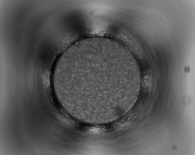 X0000103930504200810101356